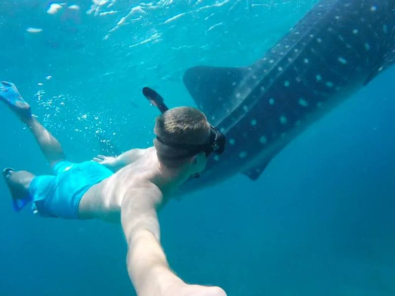 How to Ethically Swim with Whale&nbsp;Sharks