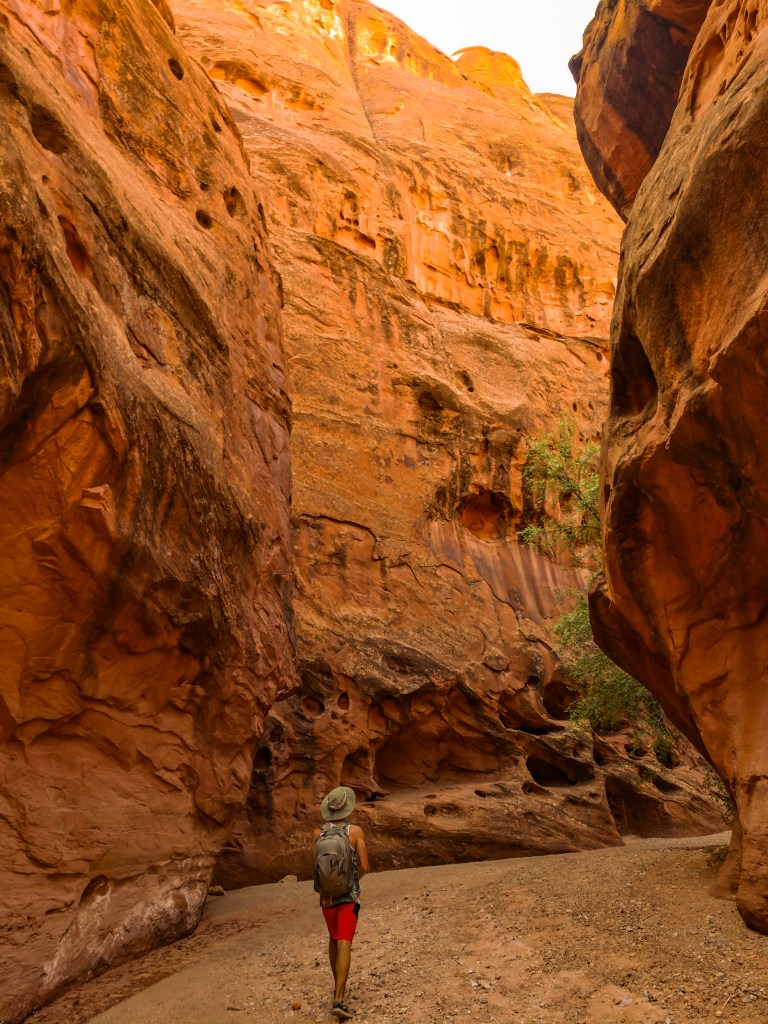 Floor of the canyon on the way to the Little Death Hollow slot canyon near Moab, Utah. 