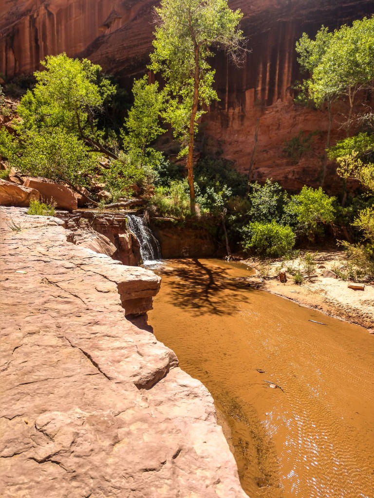 Waterfall along the Coyote Gulch Canyon. 