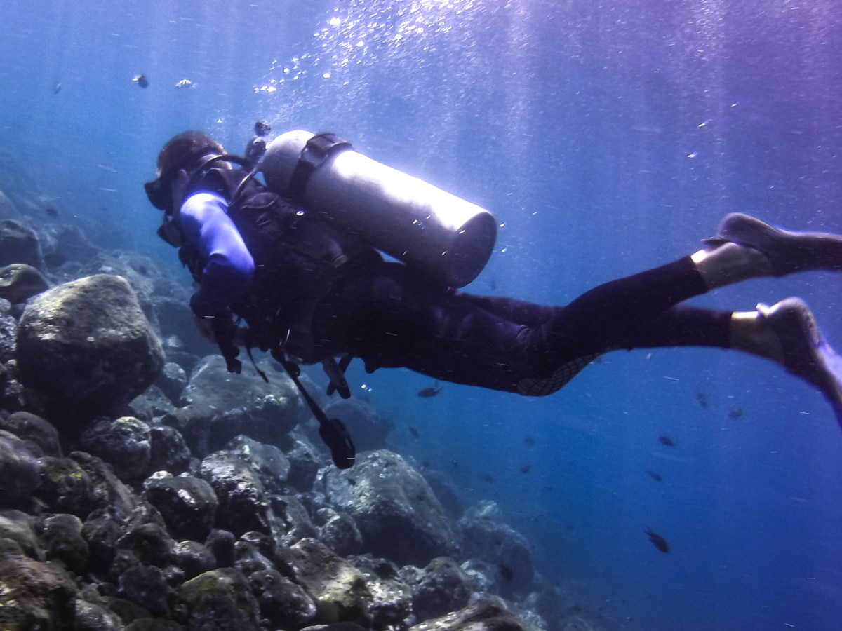 Scuba Diving Mexico’s Great Barrier&nbsp;Reef!