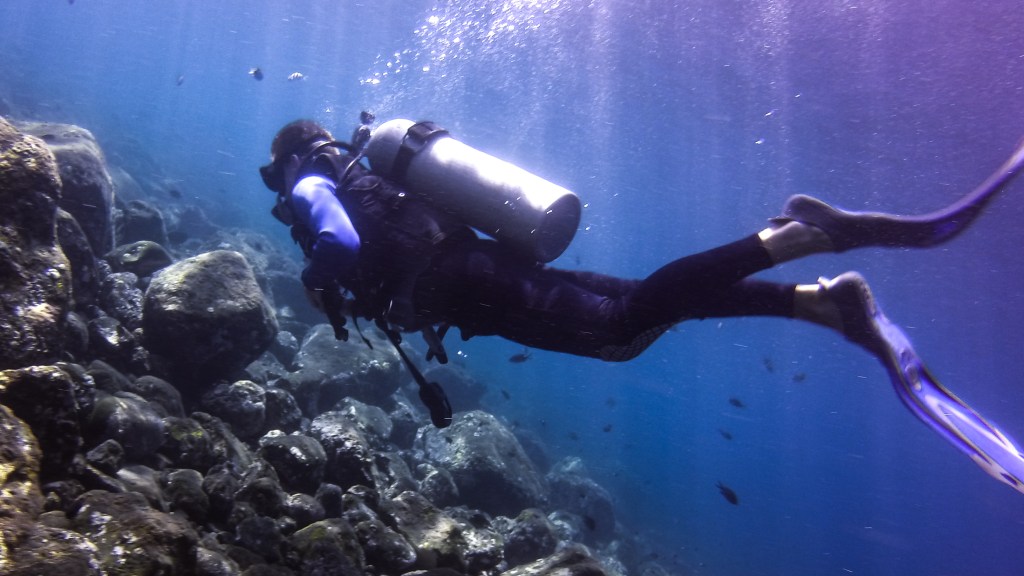 Scuba Diving Mexico’s Great Barrier&nbsp;Reef!