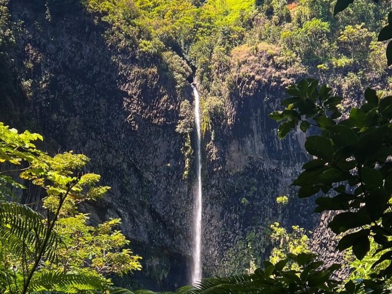 Hiking Cascade de Fautaua, Tahiti’s BEST One Day&nbsp;Adventure